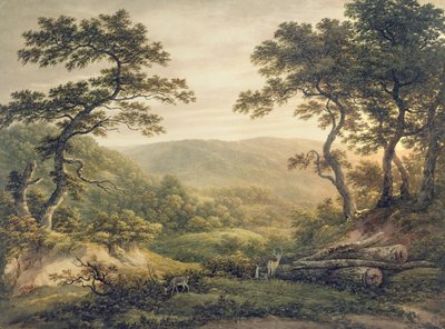 Needlewood Forest, Hampshire (kağıt üzerine sulu boya) by John Glover