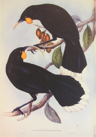  by John Gould