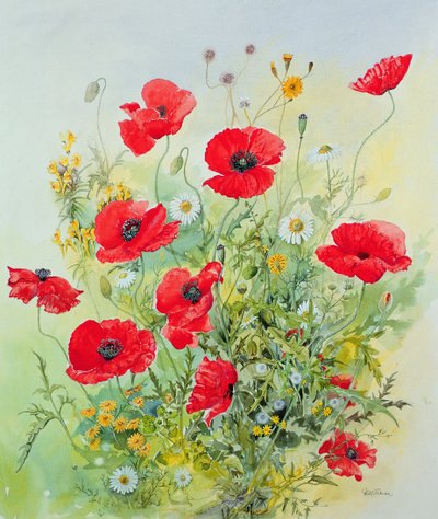 Haşhaş ve Mayweed by John Gubbins