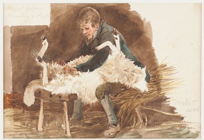 Koyun kırkma, 1808 (kağıt üzerinde wc) by John Harden