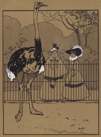 Devekuşu Tüyleri (renkli lito) by John Hassall