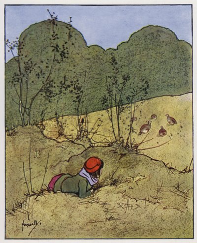 keklik (renkli taş) by John Hassall