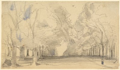 Avenue of Trees (dokuma kağıt üzerine mavi ve gri yıkamalarla grafit) by John Hayter