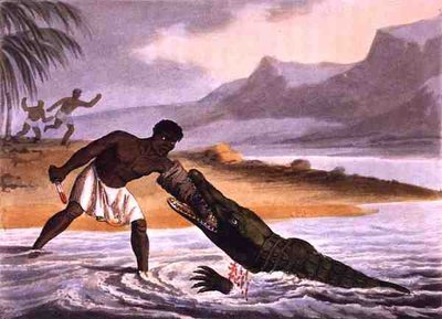 Edward Orme tarafından yayınlanan Matthew Dubourg (fl.1785-1820) tarafından kazınmış Afrika Timsah Avcıları by John Heaviside (after) Clark