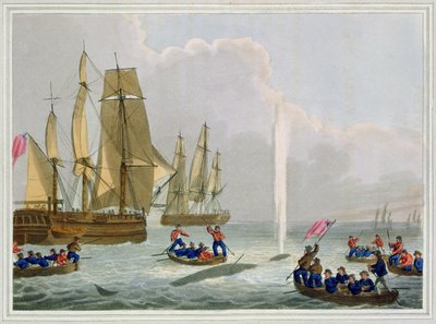 Bir Balinaya Yaklaşan Tekneler, Matthew Dubourg (fl.1785-1820) tarafından oyulmuş, Edward Orme tarafından yayınlanmış, 1813 by John Heaviside Clark
