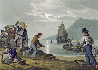 Karada Kaplumbağa Yakalayan, Matthew Dubourg (fl.1785-1820) tarafından oyulmuş, Edward Orme tarafından yayınlanmış, 1813 by John Heaviside Clark