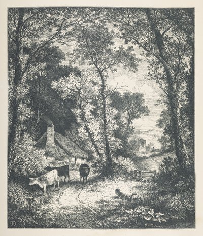 Levha 21. Sığır, 