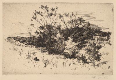Sonbahar Avondale by John Henry Twachtman