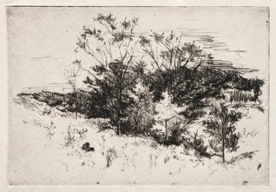 Sonbahar Manzarası, 1879-80. by John Henry Twachtman