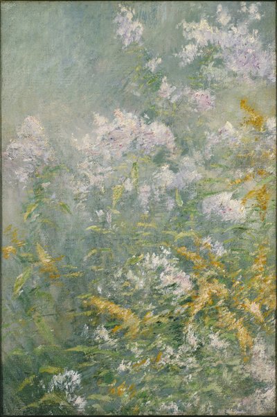 Çayır Çiçekleri (Altın Çubuk ve Yabani Aster), 1892 dolayları (tuval üzerine yağlı boya) by John Henry Twachtman