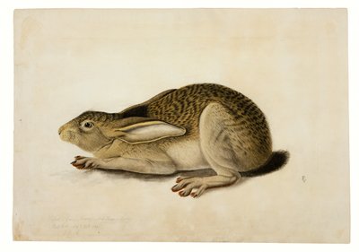  by John James Audubon