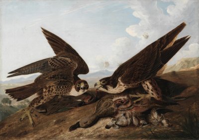  by John James Audubon