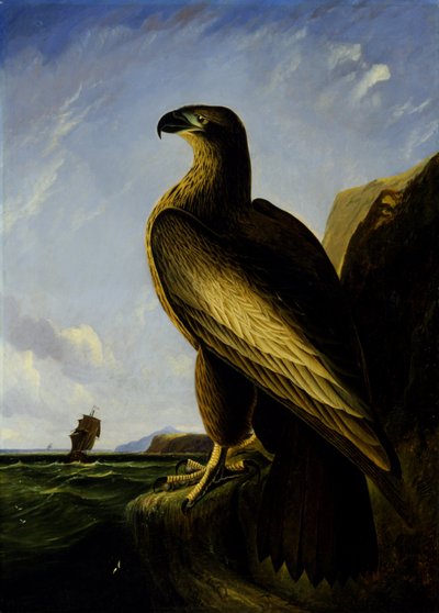  by John James Audubon