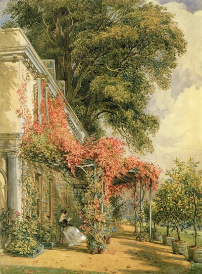 Bay Robert Vernon