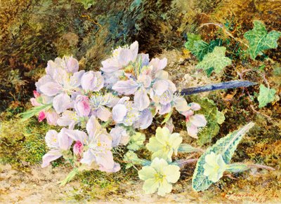 Badem Çiçekleri ve Primroses, 1868 (kart üzerinde wc) by John Jesson Hardwick
