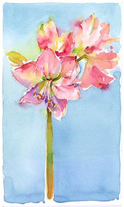 Sulu arka planlı nergis zambağı, 2015, (suluboya) by John Keeling