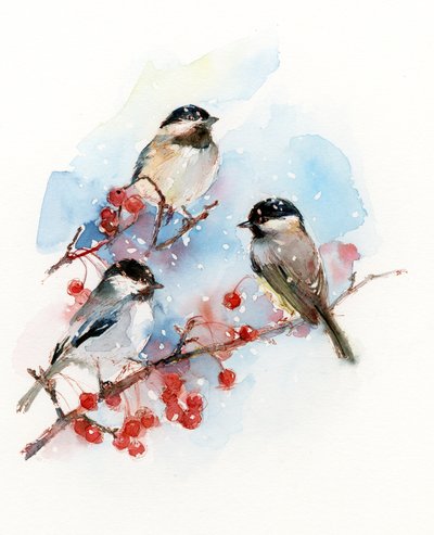 Çilekli Chickadees, 2017, (suluboya) by John Keeling