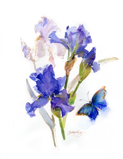 Mavi kelebekli iris, 2016, (suluboya) by John Keeling