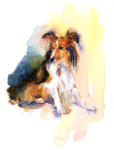 Sheltie portresi, 2015, (suluboya) by John Keeling