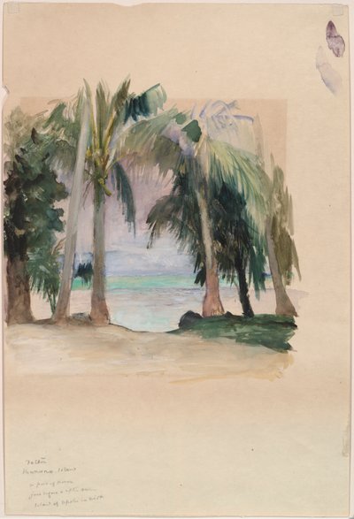 Deniz kenarında palmiyeler by John La Farge