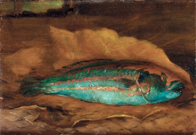 Papağan balığı araştırması, Samoa, 1890 by John La Farge or Lafarge