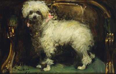 Biz by John Lavery
