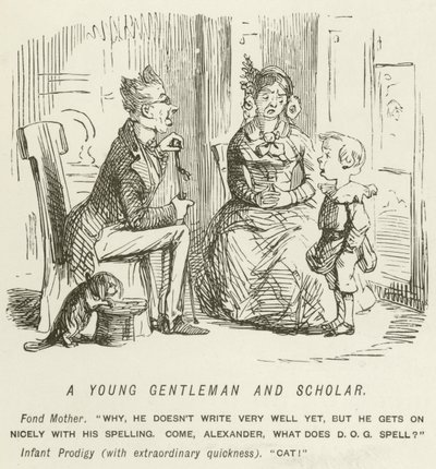 A Young Gentleman and Scholar  by John Leech