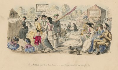Denize alternatif; veya, Serpantin olabileceği gibi by John Leech