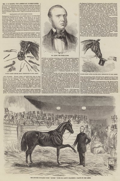 Bay JS Rarey, Amerikan At Terbiyecisi by John Leech