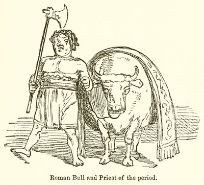 Roman Bull and Priest of the Period  by John Leech