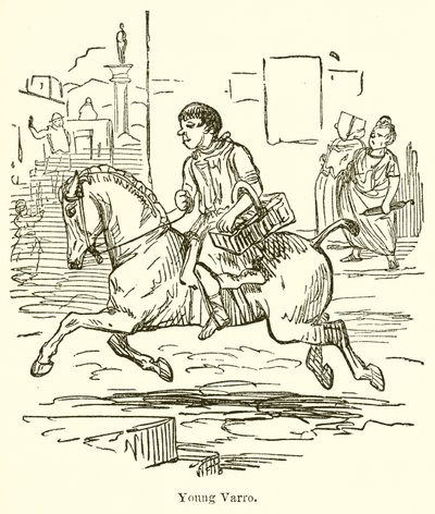 Young Varro  by John Leech