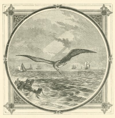 Yoksulsa dikkatli davranın (gravür) by John Leighton