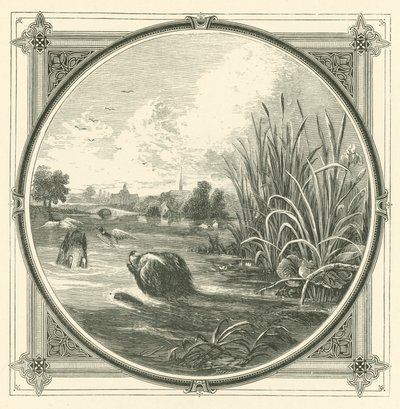 Bardak ve dudak arasında birçok kayma (gravür) by John Leighton