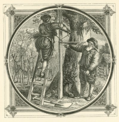 Dallar eğitilebilir, ancak gövde değil (gravür) by John Leighton