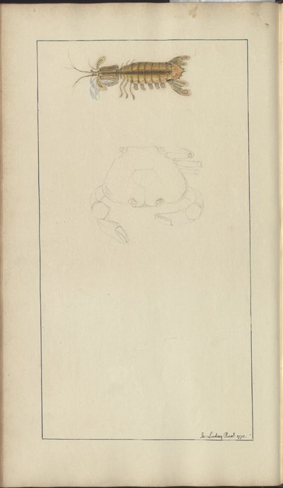 Lindsay Çizimleri Vol. VII, 24 by John Lindsay