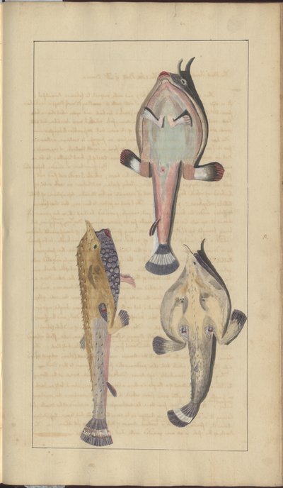 Lindsay Çizimleri Vol. VII, 27 by John Lindsay