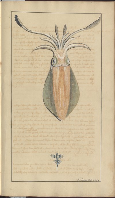 Lindsay Çizimleri Vol. VII, 29 by John Lindsay