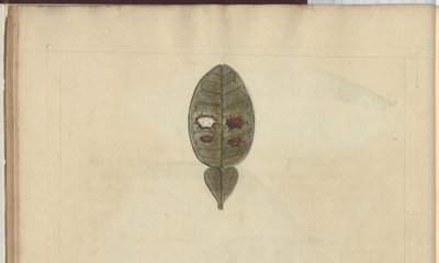 Lindsay Çizimleri Vol. VII, 3 by John Lindsay