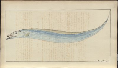 Lindsay Çizimleri Vol. VII, 9 by John Lindsay