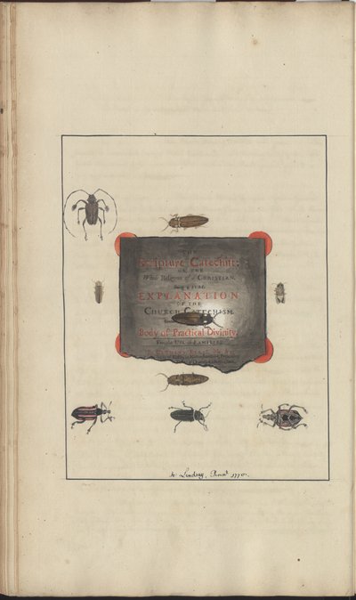 Lindsay Çizimleri Vol. VI, 95 by John Lindsay