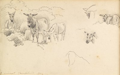 Eşekler, 1824 by John Linnell