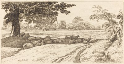 Öğle vakti koyun by John Linnell