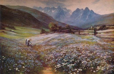 Avusturya Tirol
