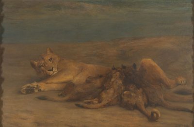 Dört yavrusunu emziren bir dişi aslan by John Macallan Swan