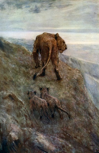 Uyarıda - Dişi Aslan ve Yavrular, c1878-1910, 1912. by John Macallan Swan