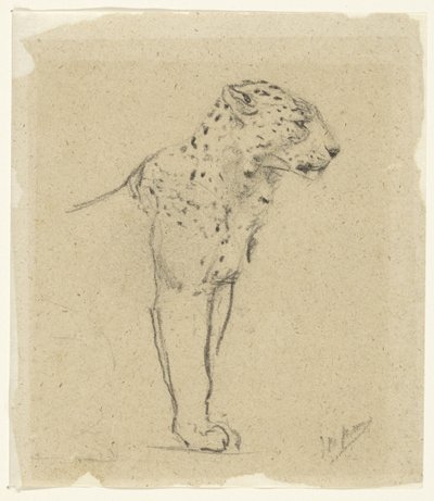 Ayakta duran bir leoparın incelenmesi by John Macallan Swan