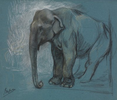 Bir Filin Çalışması. by John Macallan Swan