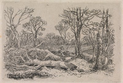 Kesilmiş Kereste, Burningham by John Middleton