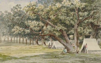Cottonwood Korusu by John Mix Stanley