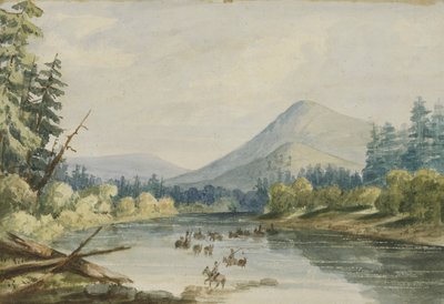 Acı Kökü Geçmek by John Mix Stanley